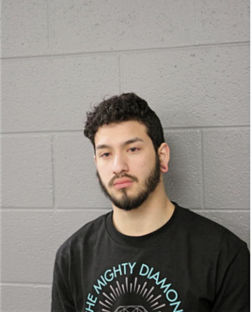 HIEZER H CASTILLO, Cook County, Illinois