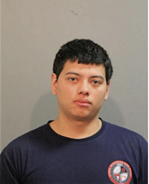 JUAN J CERVANTES, Cook County, Illinois