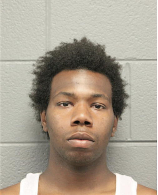 RAYMOND J DANIELS, Cook County, Illinois
