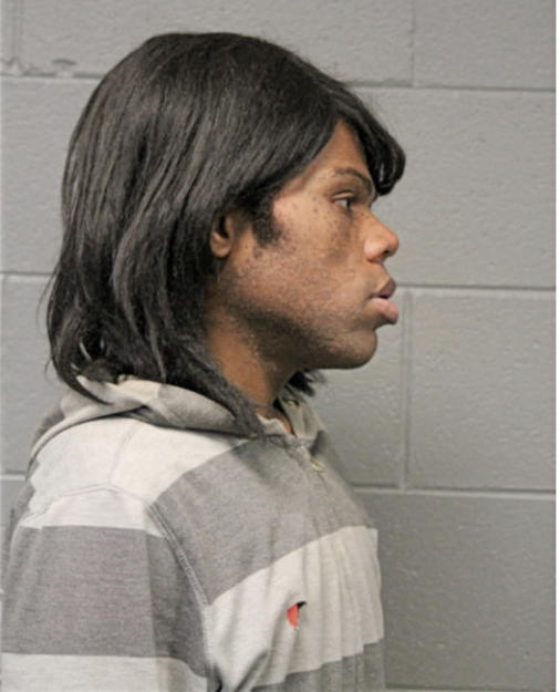 TERRELL A EVANS, Cook County, Illinois