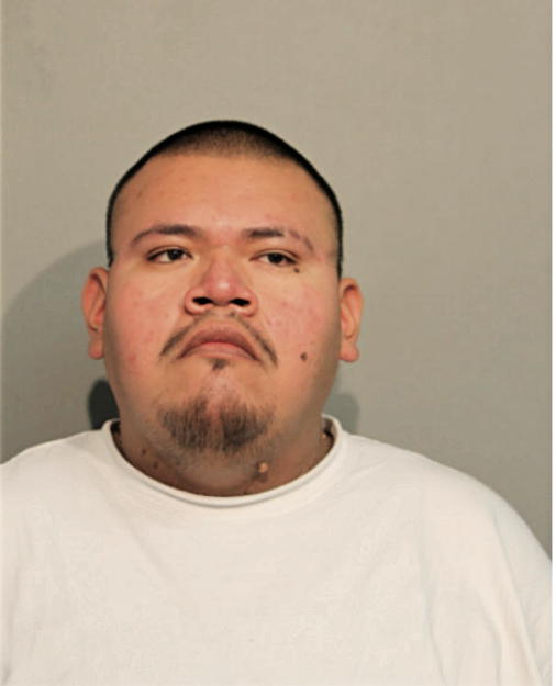 JOSE L HERNANDEZ, Cook County, Illinois