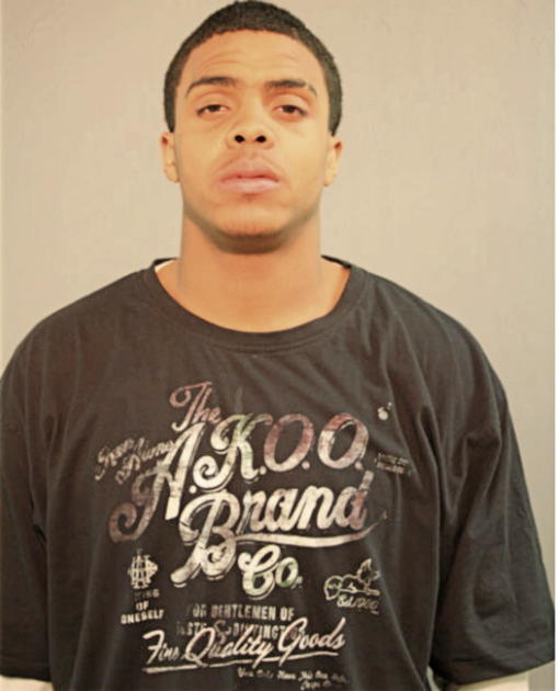 DENNIS M JOHNSON, Cook County, Illinois