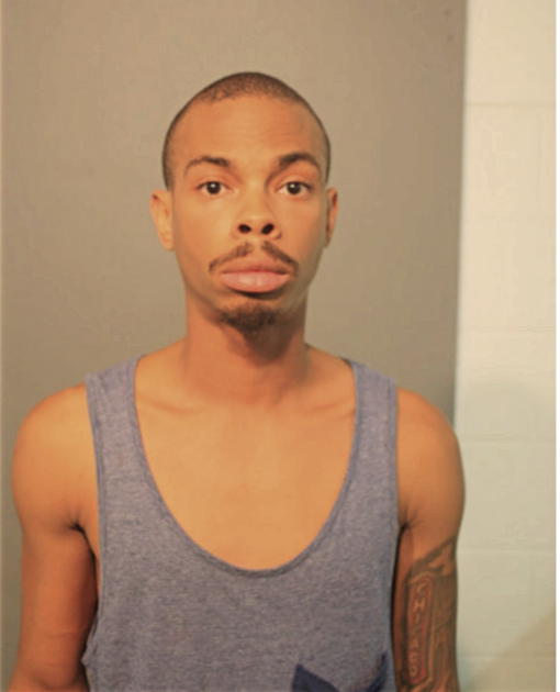 CHRISTOPHER S LAGRONE, Cook County, Illinois