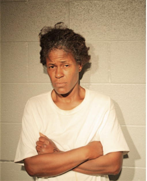 PATRICIA LANE, Cook County, Illinois