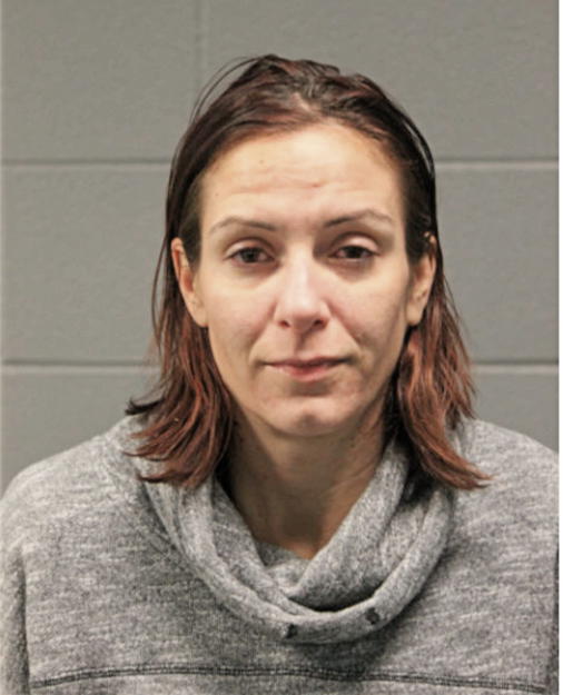 CHRISTINA M POWERS, Cook County, Illinois
