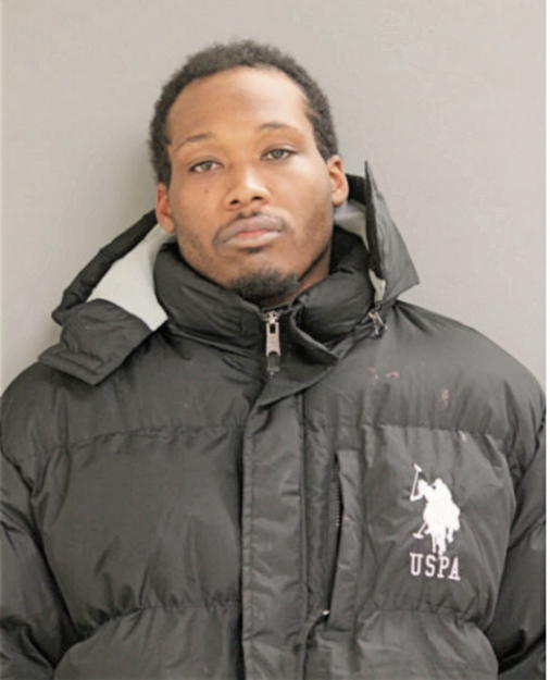 BRANDON T REYNOLDS, Cook County, Illinois