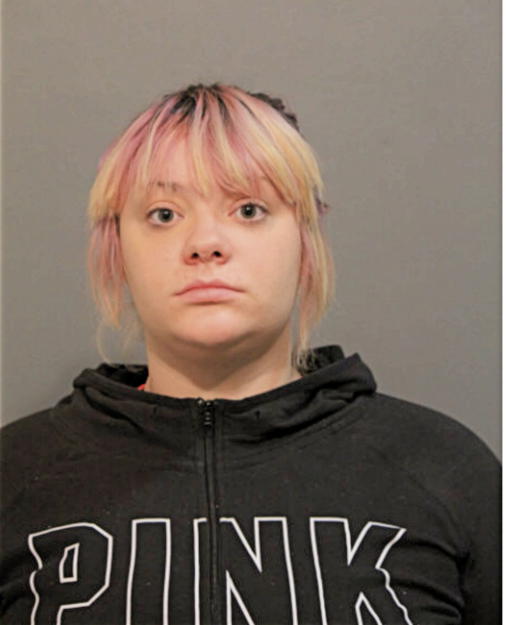 ALANAH L RIESEL, Cook County, Illinois