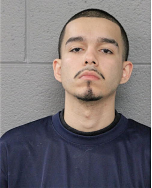 NESTOR ROSARIO, Cook County, Illinois