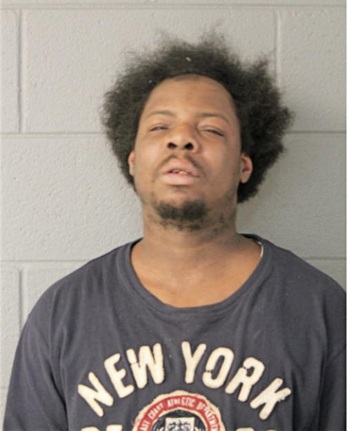 REGGIE E STEVENSON, Cook County, Illinois