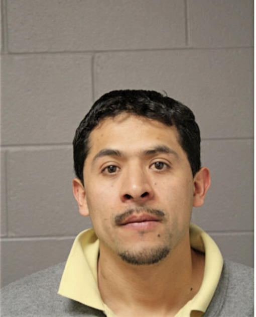 FRANCISCO TILAPA, Cook County, Illinois