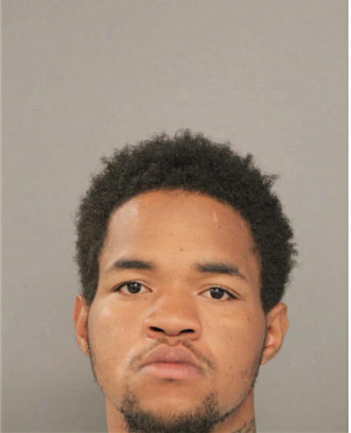 RANDY L WHITE, Cook County, Illinois