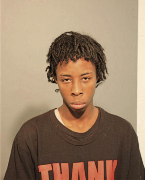 IAN B WOODSON, Cook County, Illinois