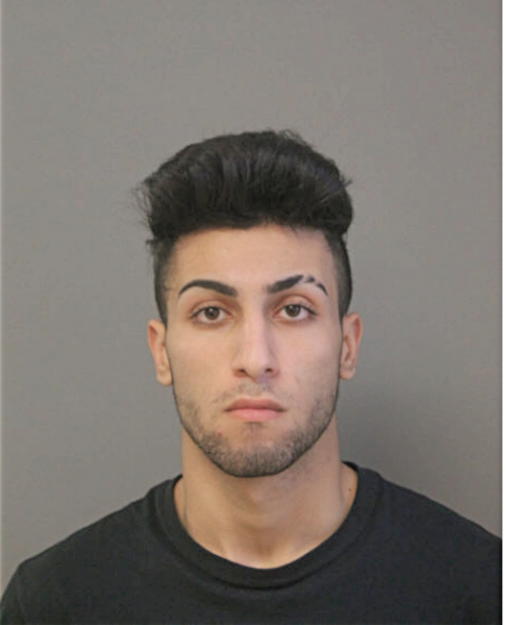 AMEER AL-HUSSEINI, Cook County, Illinois
