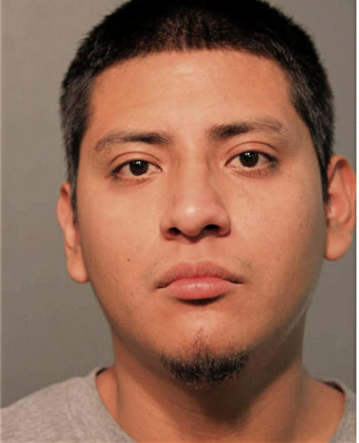 MARCO ANTONIO CASTRO-ROMAN, Cook County, Illinois