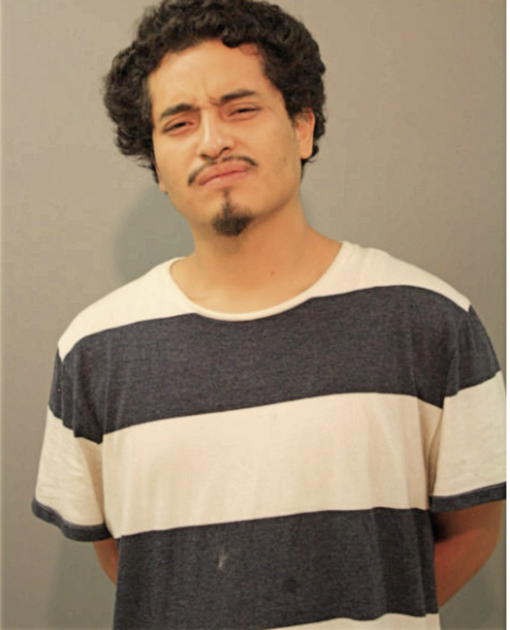 EMANUEL ARREOLA, Cook County, Illinois