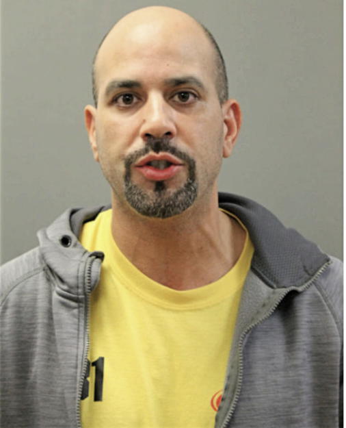 ANGEL R COLON, Cook County, Illinois