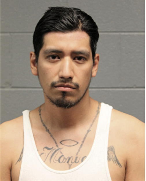 JUAN A ESCALANTE, Cook County, Illinois
