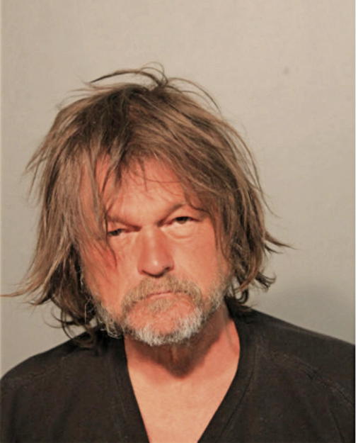 STEPHEN A FRIEBERG, Cook County, Illinois
