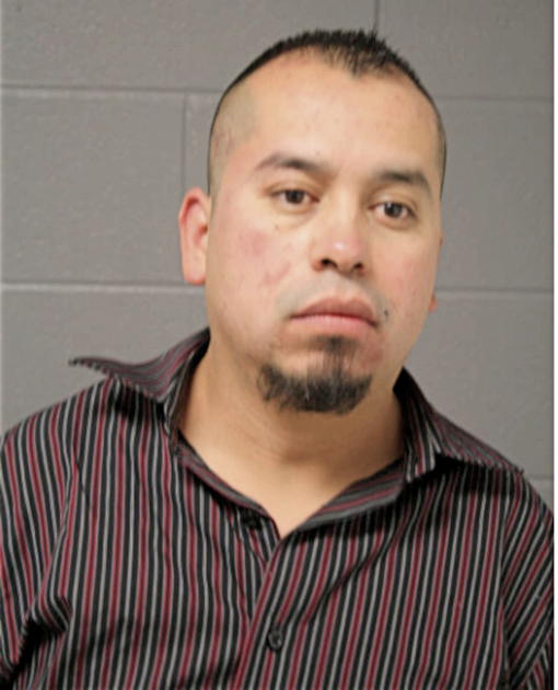 JULIO CESAR GARCIA, Cook County, Illinois