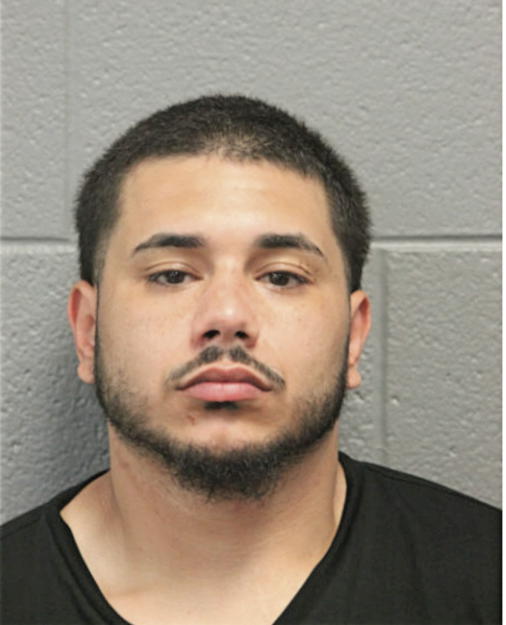 MICHAEL A GEIGEL, Cook County, Illinois