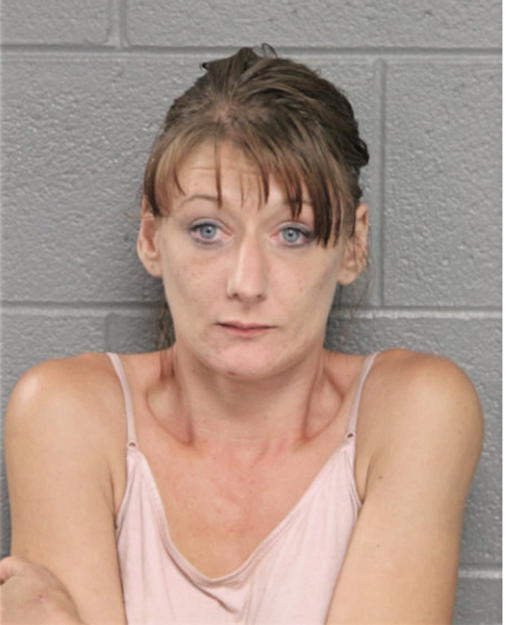 NICOLE K HAMMER, Cook County, Illinois
