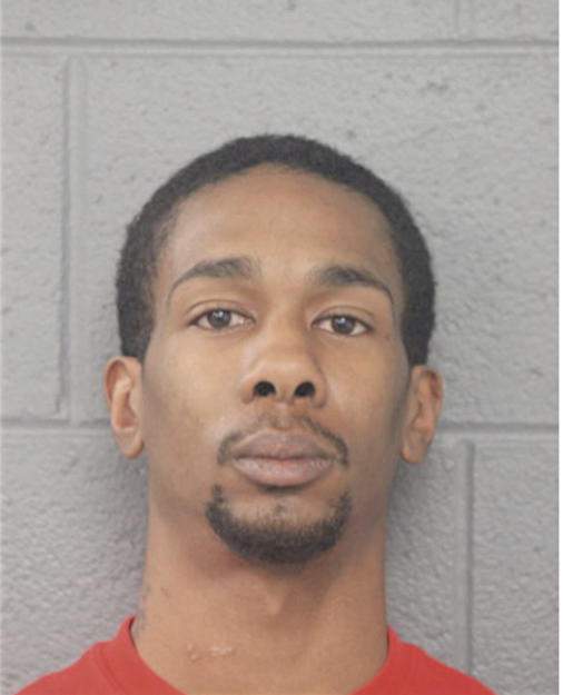 KEENAN L HOLZENDORF, Cook County, Illinois