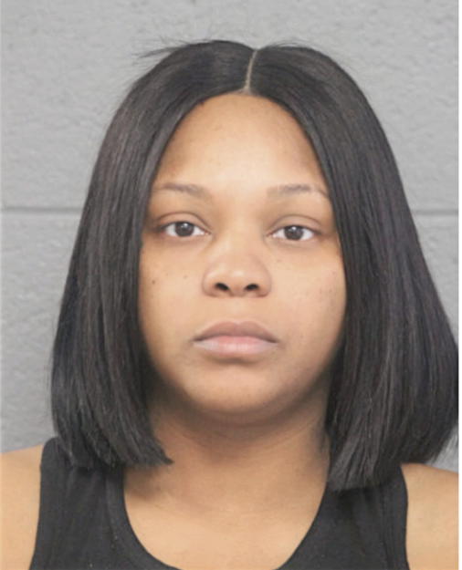 PAMELA M HUDSON, Cook County, Illinois