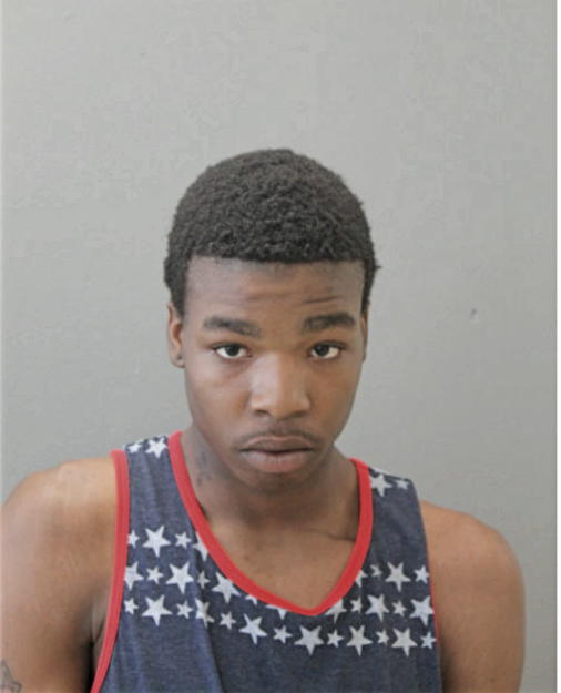 TONY M JOHNSON, Cook County, Illinois
