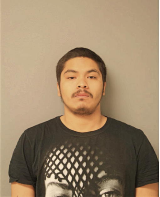 CHRISTOPHER E PALACIOS, Cook County, Illinois