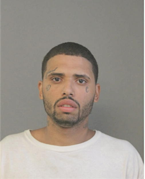 JOSEPH M ROMAN, Cook County, Illinois
