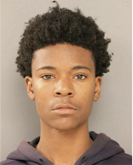 CHRISTONIA STEPHENS, Cook County, Illinois