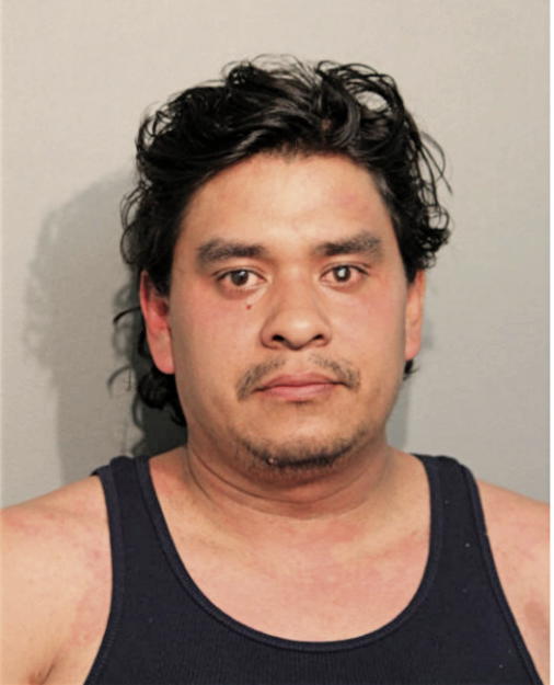 JESUS A TREJO MORALES, Cook County, Illinois