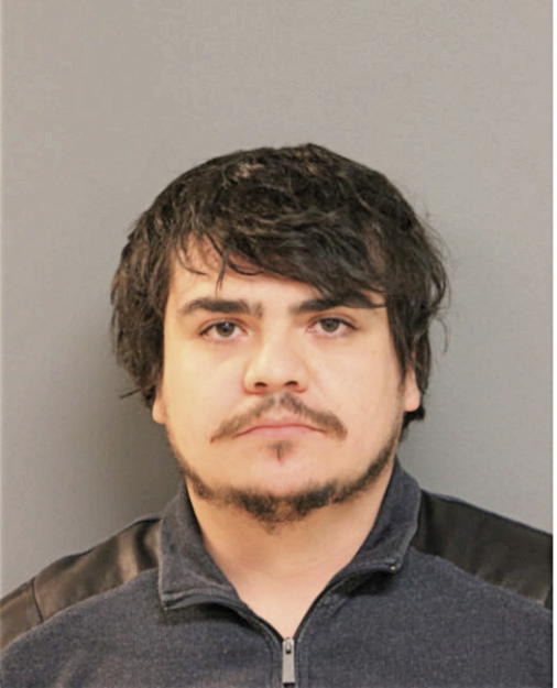 PABLO A VARGAS, Cook County, Illinois