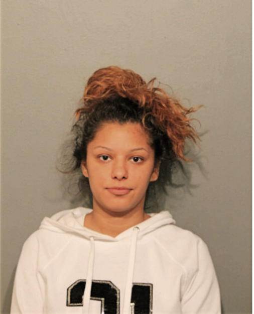 AMANDA VENEGAS, Cook County, Illinois