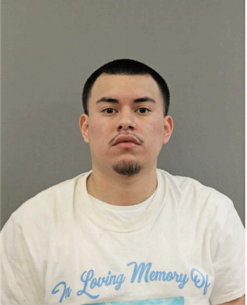 EDWIN VILLASANA, Cook County, Illinois