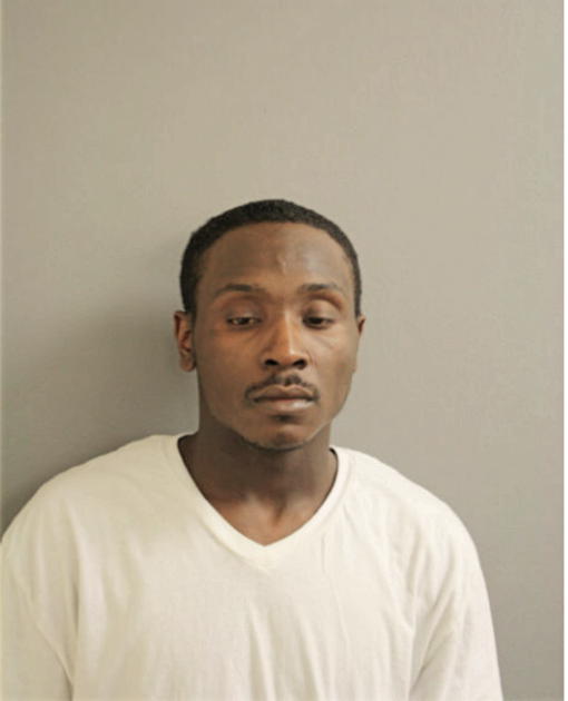 ROBERT M YOUNG, Cook County, Illinois