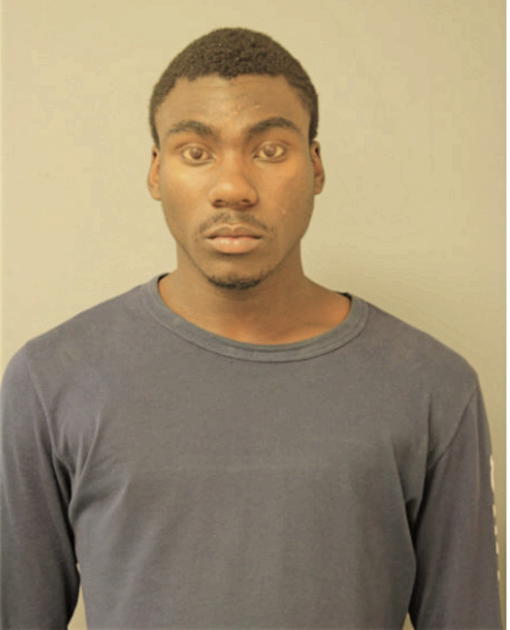 TYRIN D BEECHAM, Cook County, Illinois