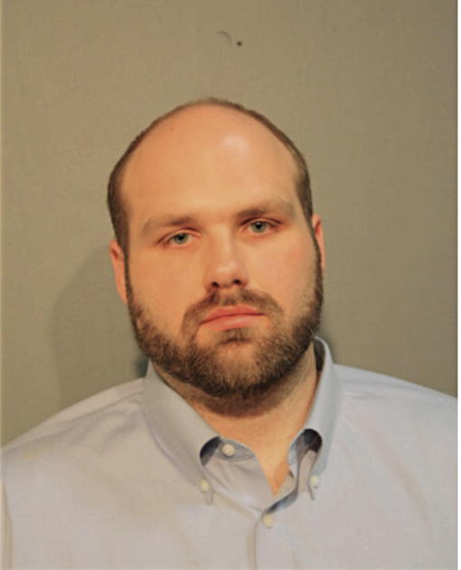 MICHAEL A DAVIS, Cook County, Illinois