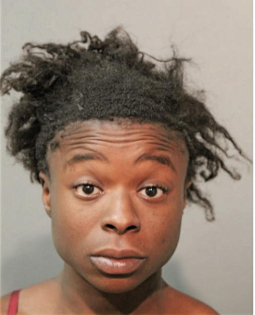 ASHLEY N DENT, Cook County, Illinois