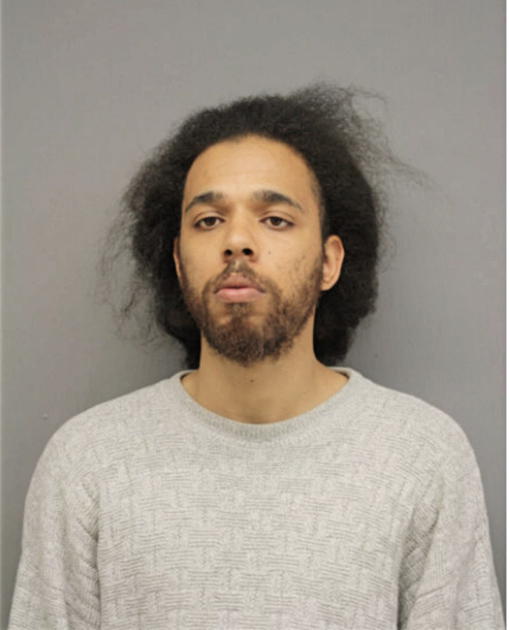 DAVID O DONALDSON, Cook County, Illinois