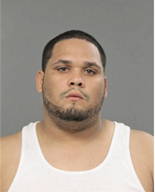 DEANGELO L FORD, Cook County, Illinois
