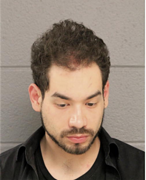 ROBERTO GRAJEDA GONZALEZ, Cook County, Illinois
