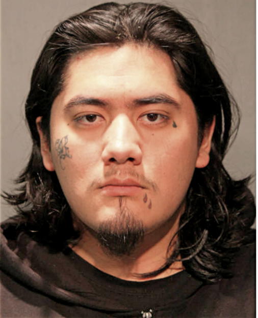 SERGIO GONZALEZ, Cook County, Illinois