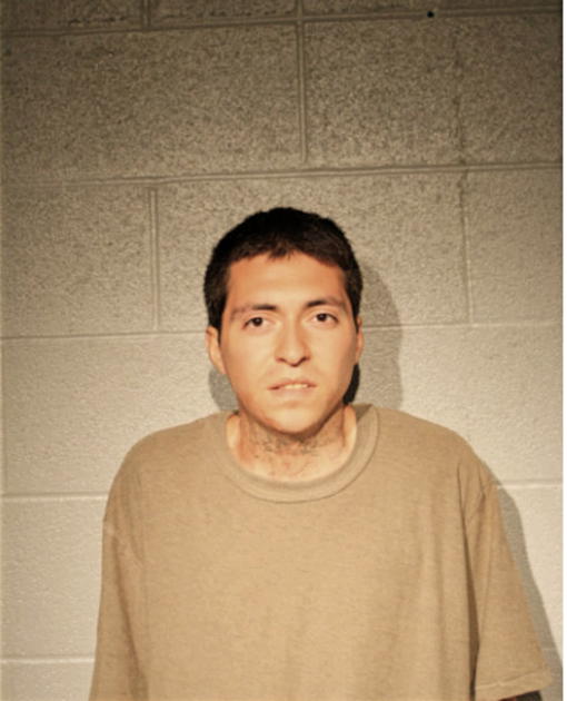 FABIAN GUTTIREZ, Cook County, Illinois