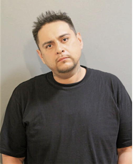 RODOLFO J GUZMAN, Cook County, Illinois