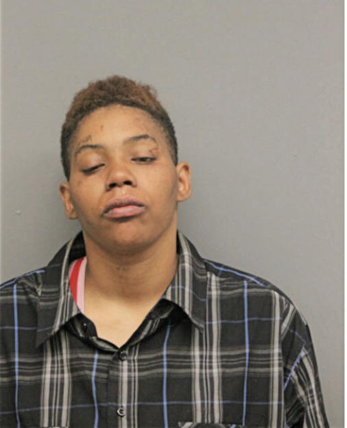 SAMINA L HOLLY, Cook County, Illinois