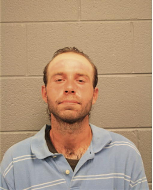 MICHAEL A HORVATH, Cook County, Illinois