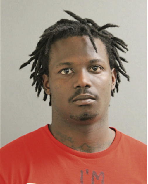 SAVION D JACKSON, Cook County, Illinois