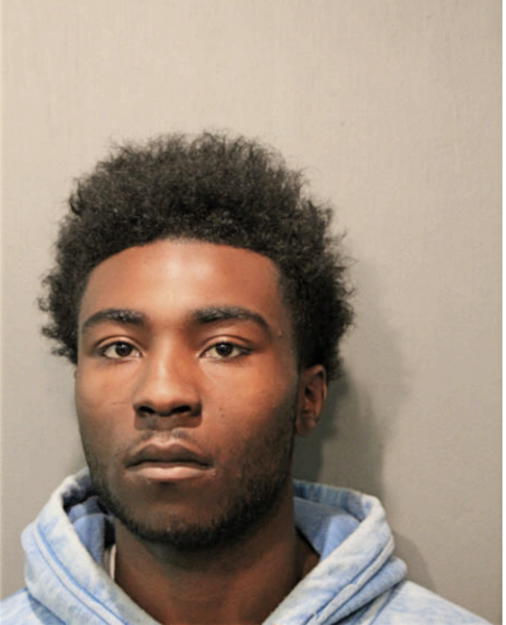 LARAYSHEO D JOHNSON, Cook County, Illinois