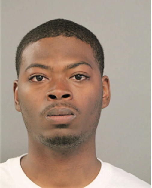 MICHAEL P LEE, Cook County, Illinois